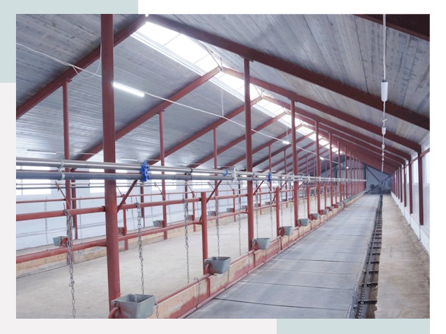 Строительство коровников в Биробиджане от 608 руб.