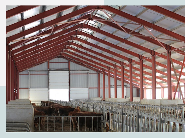 Строительство коровников в Биробиджане