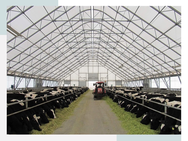 Тентовые коровники в Биробиджане от 608 руб. - Надежно и доступно