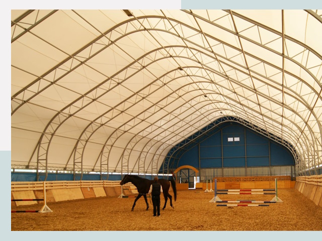 Строительство конных манежей в Биробиджане